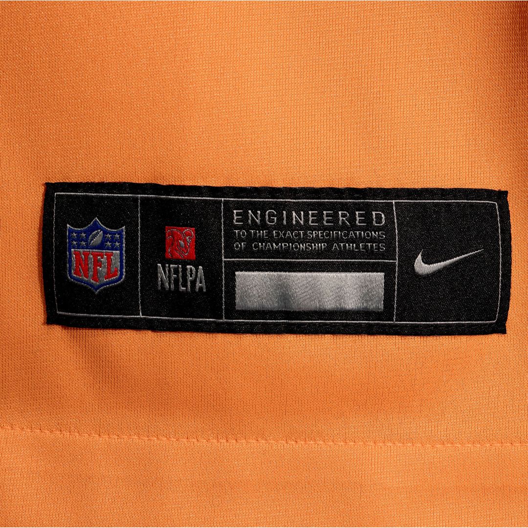 Chris Godwin Jr. Tampa Bay Buccaneers Nike Alternate Game Player Jersey - Orange